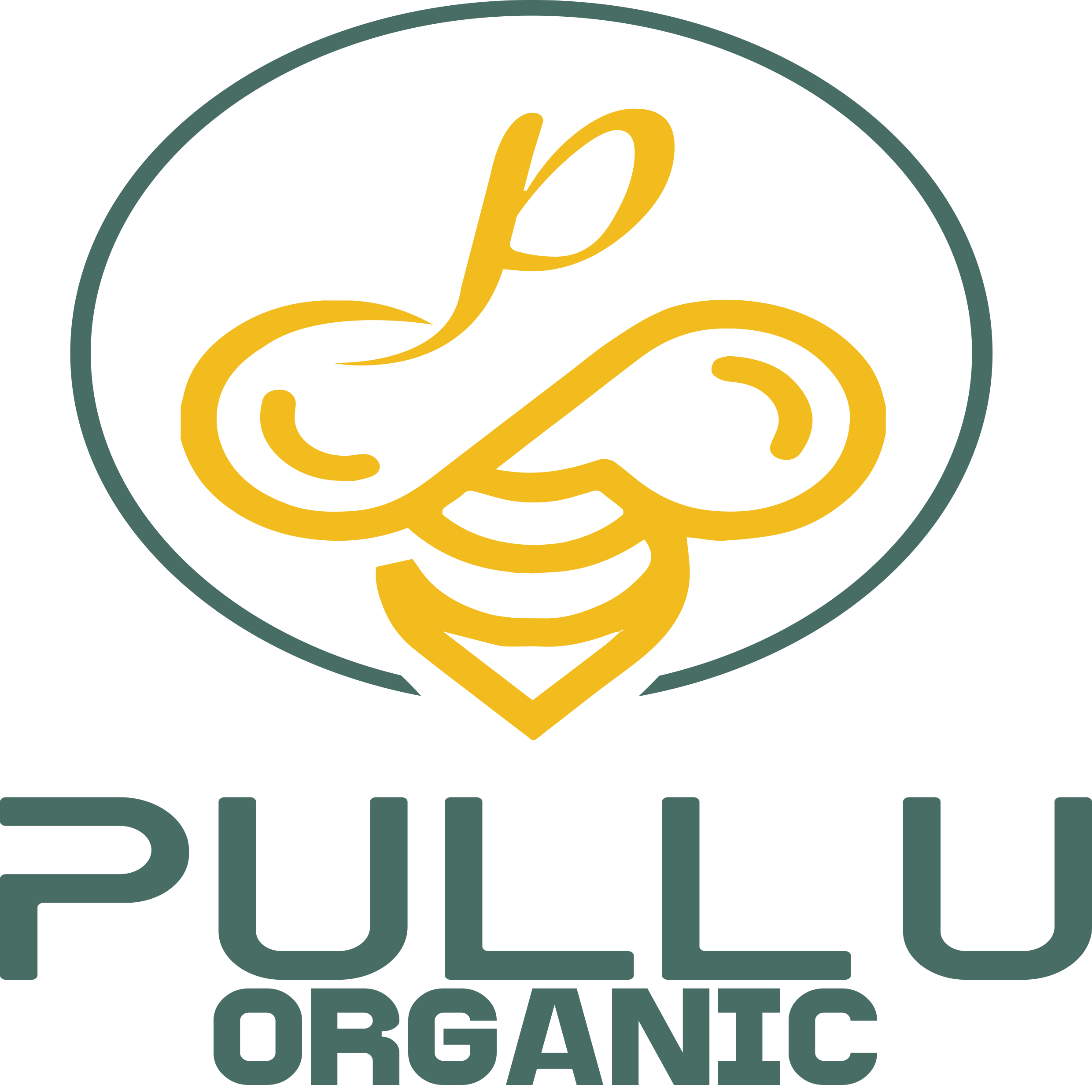 Pullu Organic